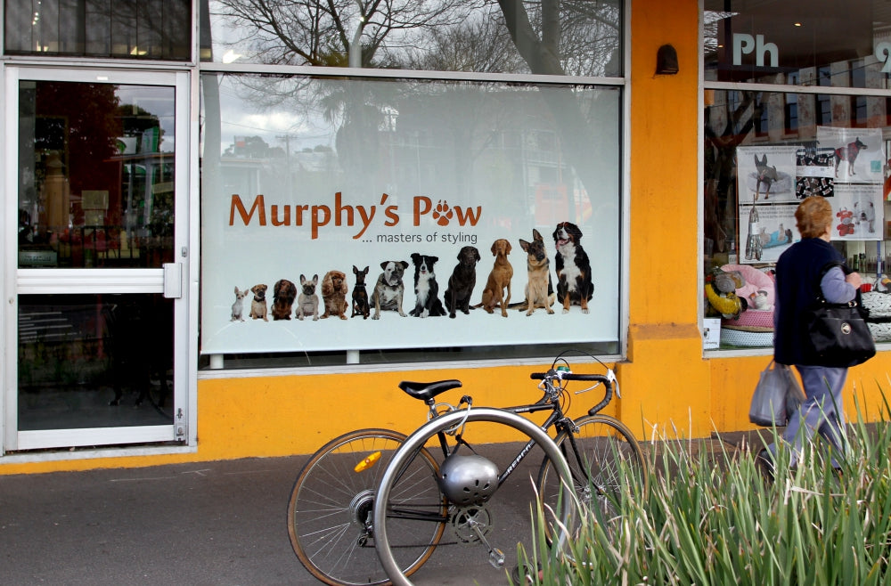 Tenda a rullo per vetrina con stampa digitale del marchio Murphy’s Paw